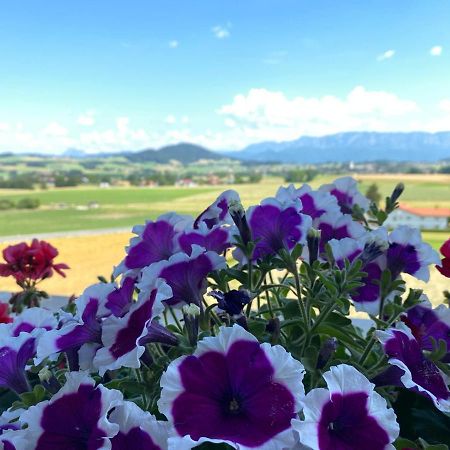 Hotel Blumenhof St. Georgen im Attergau Zewnętrze zdjęcie